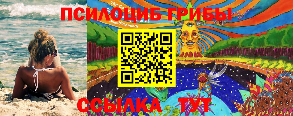 Галлюциногенные грибы Psilocybine cubensis  Вход с VPN  Псилоцибиновые грибы мухоморы  Губкинский 
